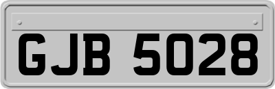 GJB5028