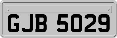GJB5029
