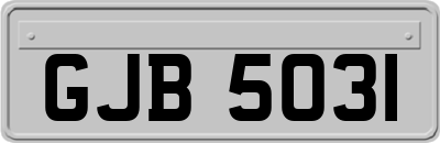 GJB5031