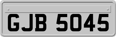 GJB5045
