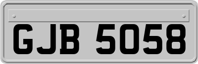 GJB5058