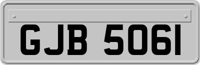 GJB5061