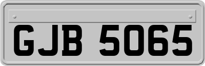 GJB5065