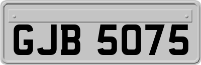 GJB5075