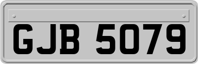 GJB5079