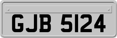 GJB5124