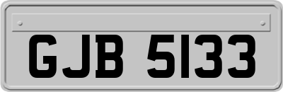 GJB5133