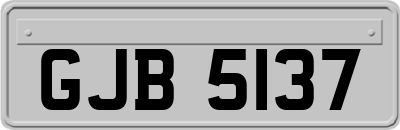 GJB5137