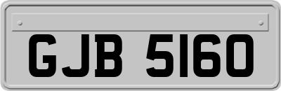 GJB5160