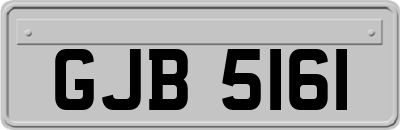 GJB5161