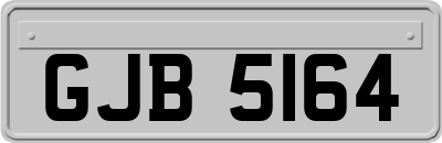 GJB5164