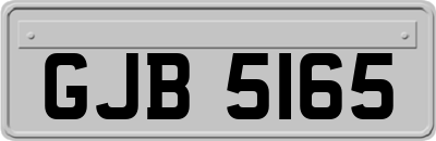 GJB5165