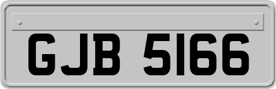 GJB5166