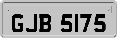 GJB5175