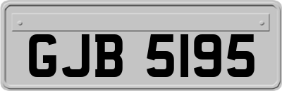 GJB5195