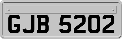 GJB5202