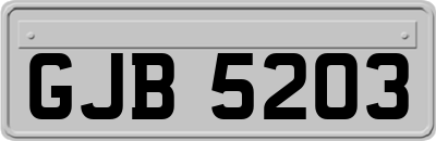 GJB5203