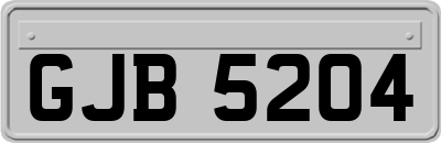 GJB5204