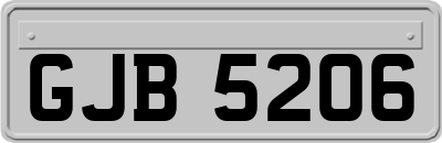GJB5206