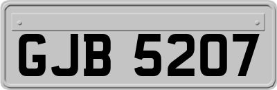 GJB5207