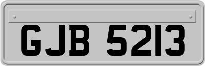 GJB5213