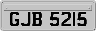 GJB5215