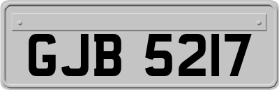 GJB5217