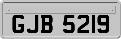 GJB5219