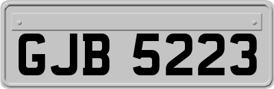 GJB5223