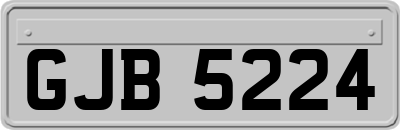 GJB5224