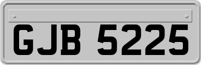 GJB5225