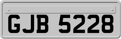 GJB5228