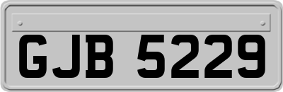 GJB5229
