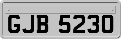 GJB5230