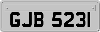 GJB5231
