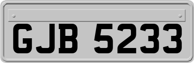 GJB5233
