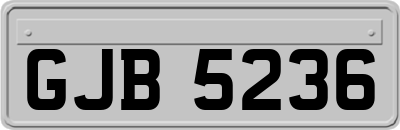 GJB5236