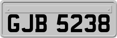 GJB5238