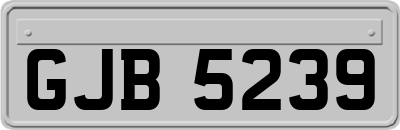 GJB5239