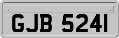 GJB5241