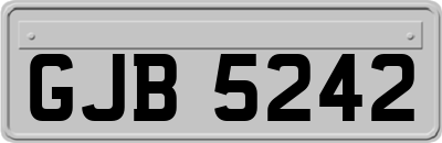 GJB5242
