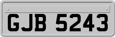 GJB5243