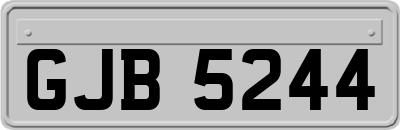 GJB5244