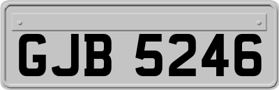GJB5246