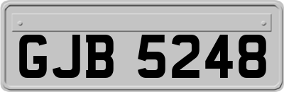 GJB5248