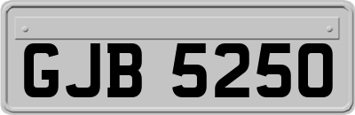GJB5250