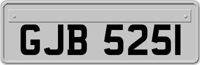 GJB5251