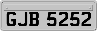 GJB5252