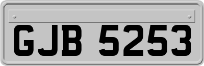 GJB5253