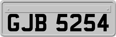 GJB5254
